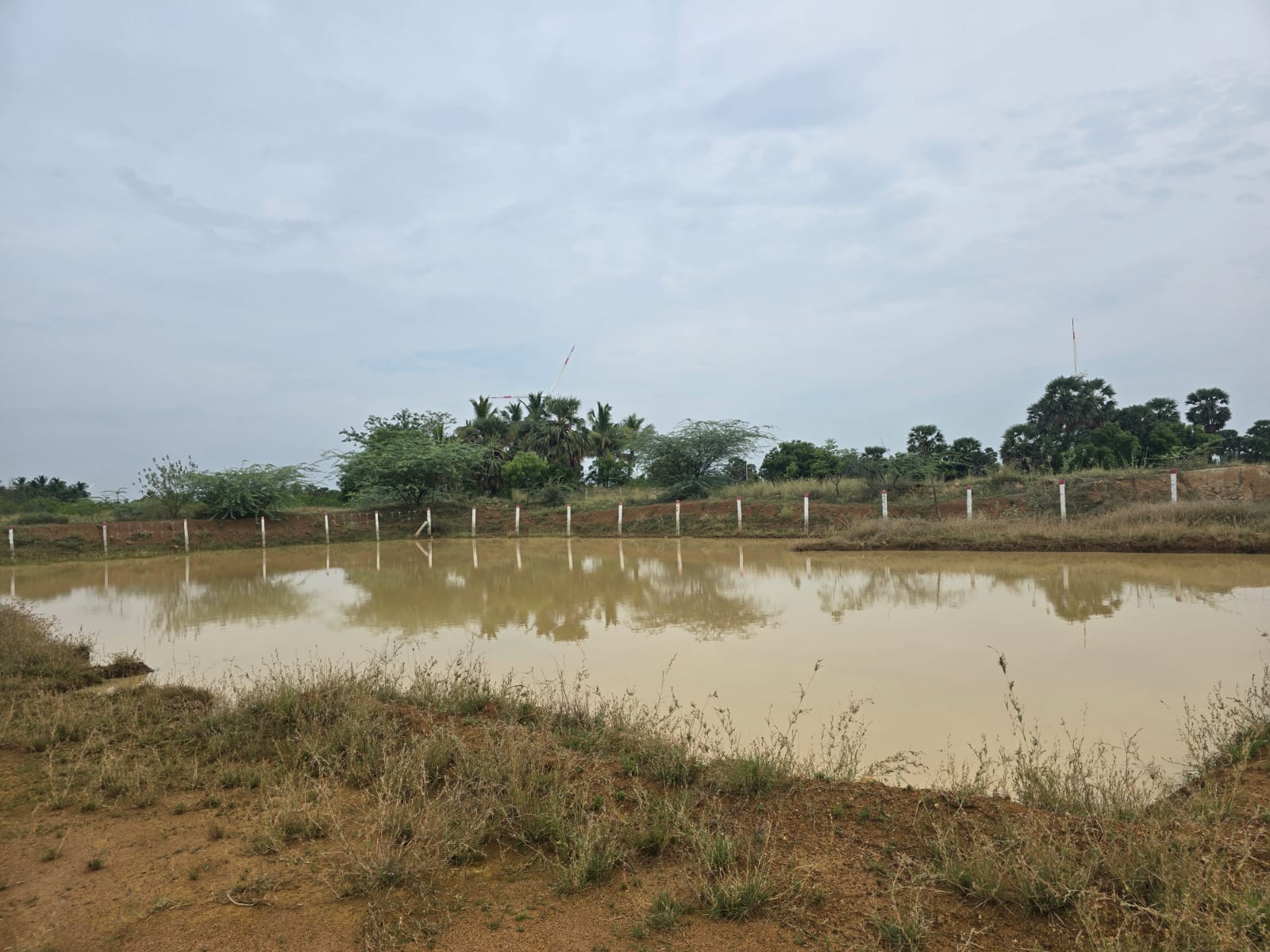 A wide rain-fed water collection pond bounded by white perimeter posts